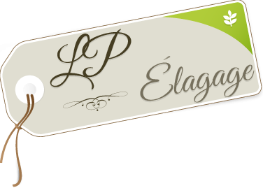 LP ELAGAGE